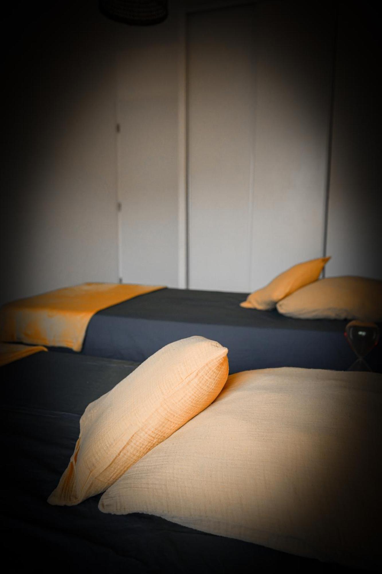 Bel Appartement Climatise & Parking Perpignan Exterior photo